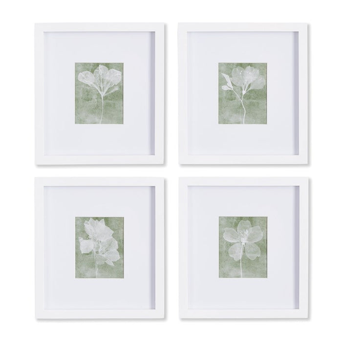 TRANSLUCENT FLORAL PETITE PRINTS, SET OF 4 BY NAPA HOME & GARDEN