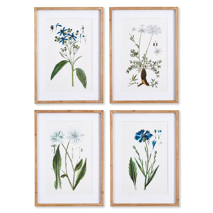 MOUNTAIN BOTANICAL PRINTS, SET OF 4 BY NAPA HOME & GARDEN