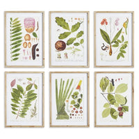 LEAF BOTANICAL STUDY, SET OF 6 BY NAPA HOME & GARDEN