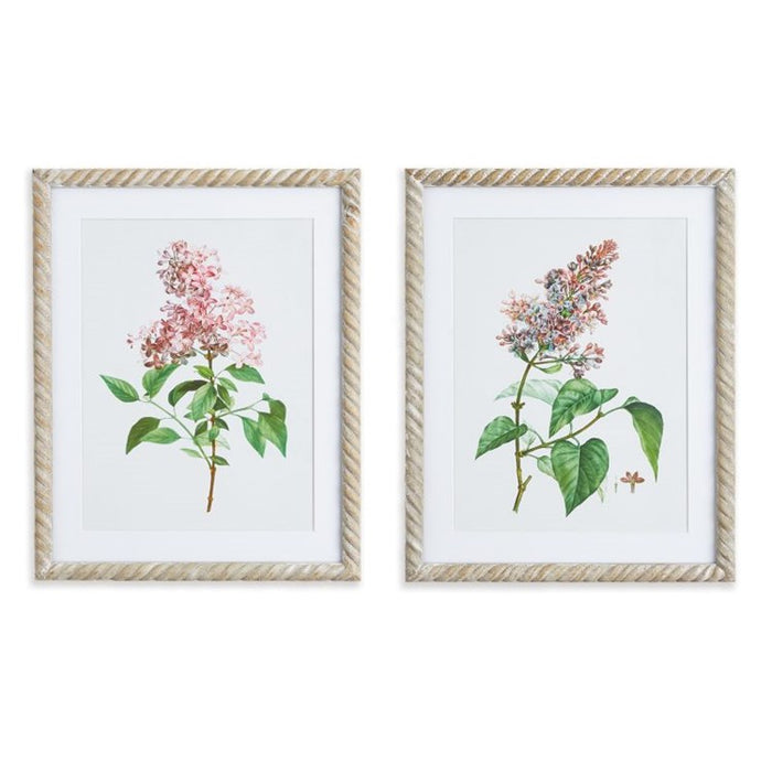 LILAC CUTTING PRINTS, SET OF 2 BY NAPA HOME & GARDEN