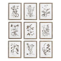 RUSTIC FOLIAGE STUDY, SET OF 9 BY NAPA HOME & GARDEN