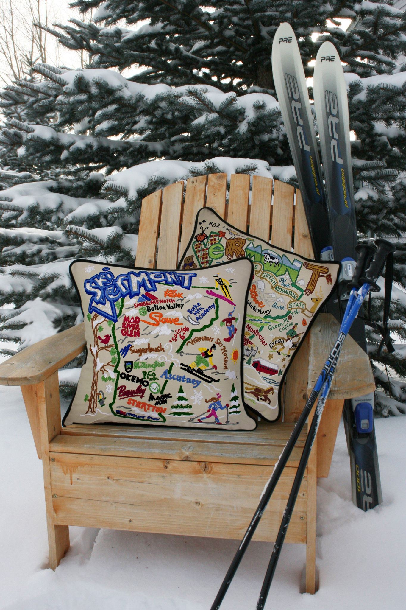 SKI VERMONT PILLOW BY CATSTUDIO - A. Dodson's