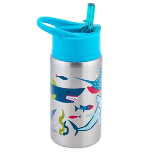STAINLESS WATER BOTTLES - A. Dodson's